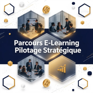 Parcours E-Learning Pilotage Stratégique